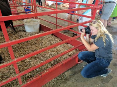 CSIF Seeks 2018 Communications Intern