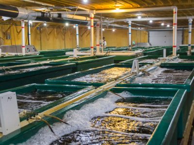 Webster City Aquaculture Farm